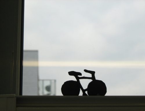 Cutout card bike, studio window